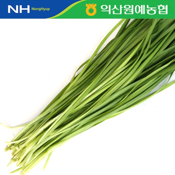 [농협] 한아름드린 제철미각 부추 2kg/4kg