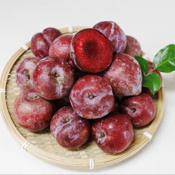 아삭한 피자두(푸)