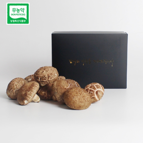 예산청년농부의 무농약 생표고버섯 선물세트 1kg / 2kg 직접재배 무농약표고버섯