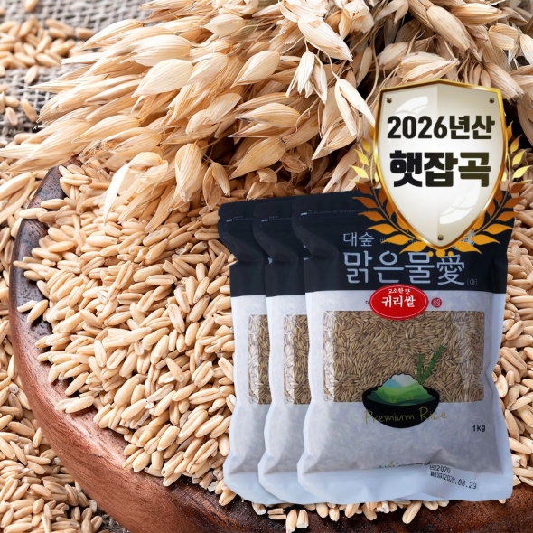 [대숲맑은물애] 26년산 영양곡물 알갱이 고소한맛 귀리쌀 1kg~5kg