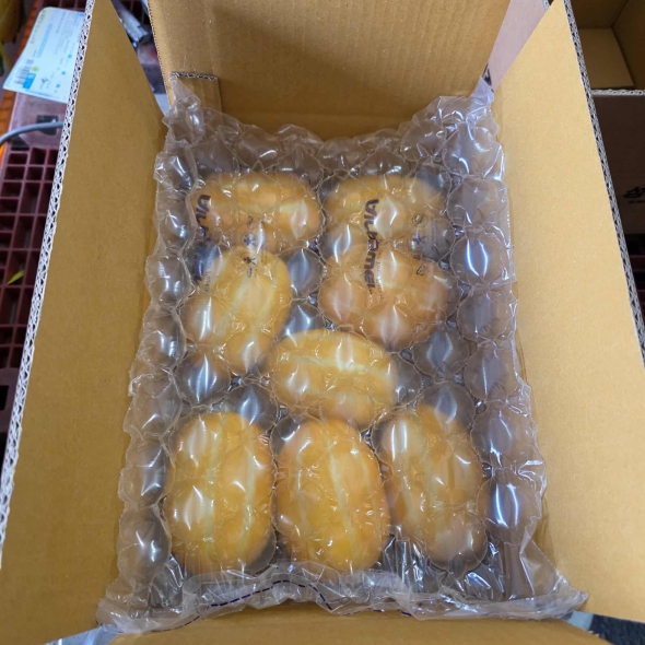 방앗간아이 늘푸른 성주참외 산지직송 꿀참외 사이즈선택 1kg~5kg 무료배송