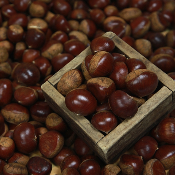 [만원의 행복] 제철 가장 맛있는 국내산  햇 밤