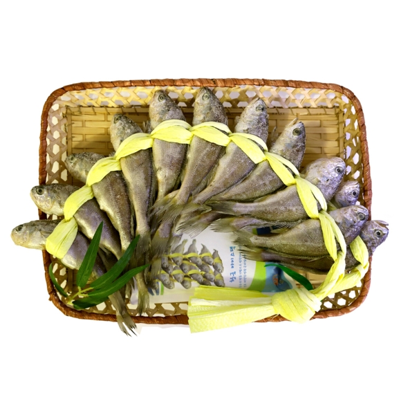 영광굴비 법성포 국보굴비세트 7호 20미 1.6kg