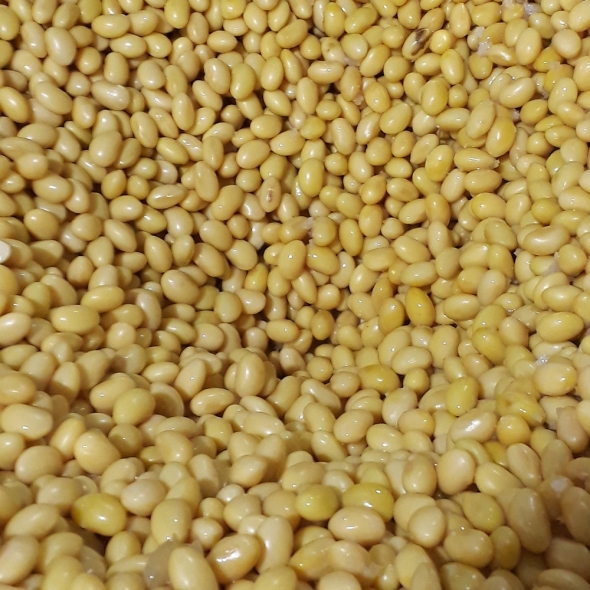 공주농부의 수제 알밤두부 900g (300gx3ea) 직접농사지은 콩