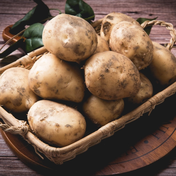 [보름데이] 유기농 강원도 햇  수미감자