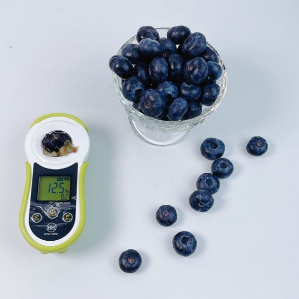 [으뜸] 새콤달콤 칠레 블루베리