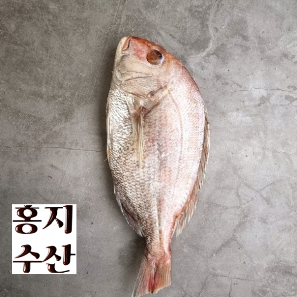 홍지수산 저염 손질 참돔 1마리  500g 400g 전후  생선요리 선물용
