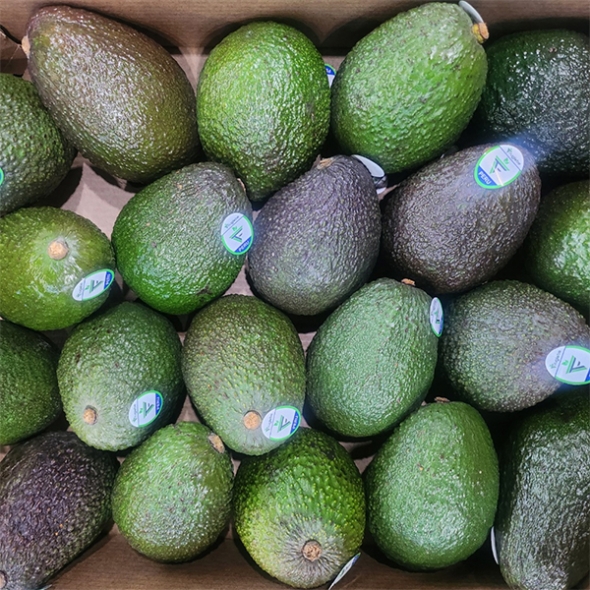 [만원의 행복] 검붉은 껍질속 뽀얀 속살의 아보카도(푸)