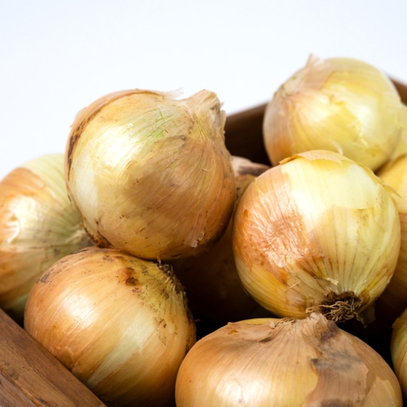 [농협] 한아름드린 양파 3kg/5kg/10kg (대/7cm내외)