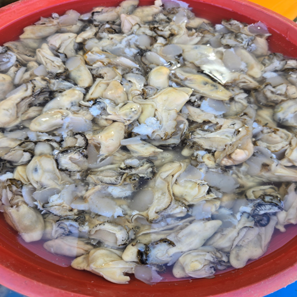 홍지수산 깐굴 알굴 500g  1kg 남해안 여수 고흥 석화  