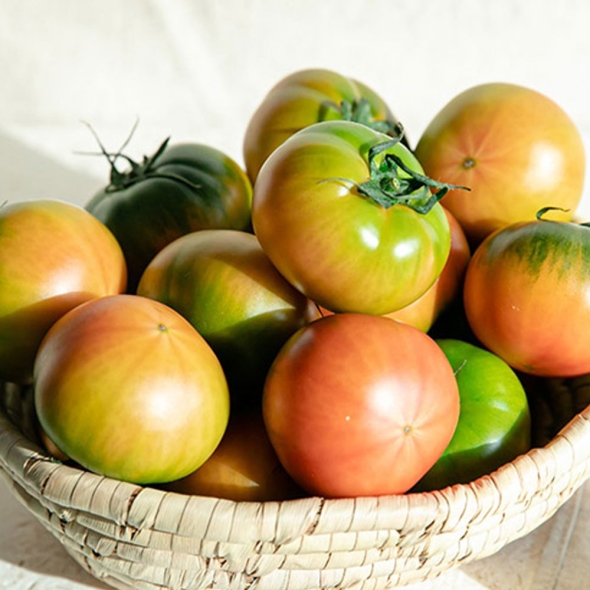 [특별할인] [흙이음] 대저 완숙 토마토 2.5kg