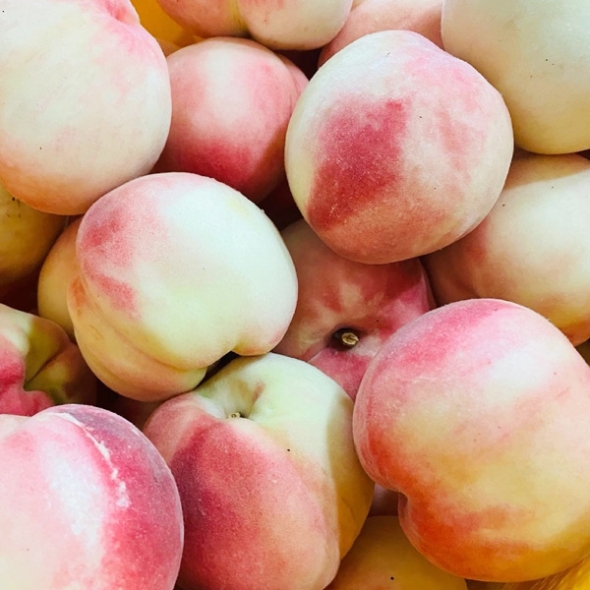 [농협공판장] 정성드린 단단 깐깐한 복숭아 4kg(13-14과내)