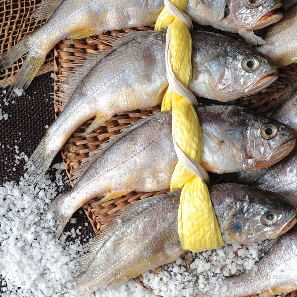 굴비 영광 법성포 굴비 선물세트 가정용 진공포장 엮걸이포장