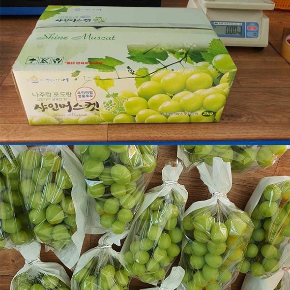[명절브팜] 빛나는 샤인머스켓 고당도 2kg 선물세트 선물용