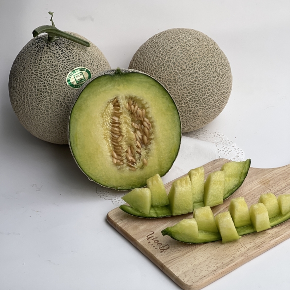 [만원의 행복] [메론캄스] 머스크 메론 1.5kg 당도선별 멜론