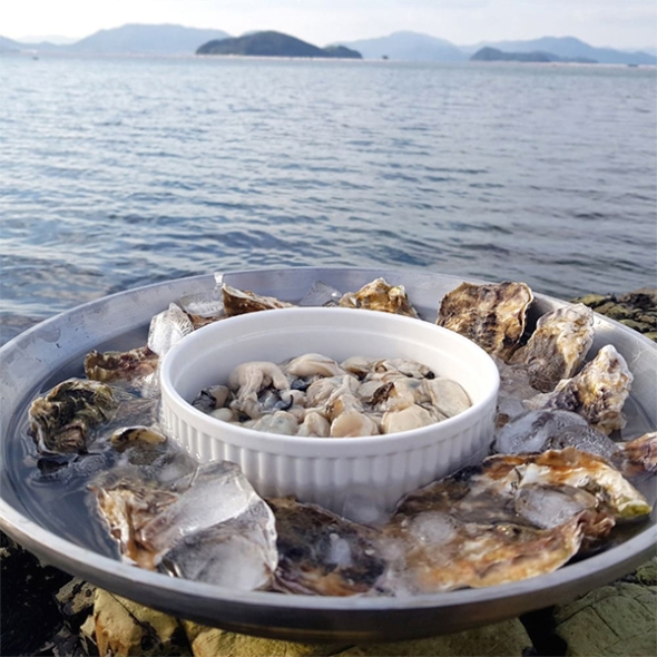 [김장철] 신선함을 그대로  통영 생굴(푸)