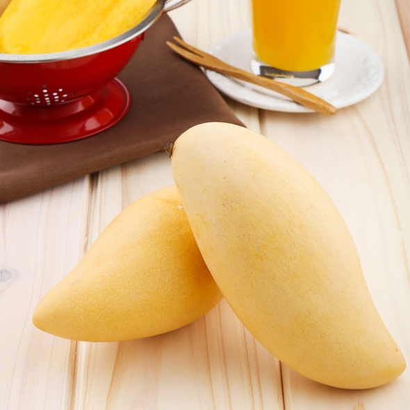  [자연속애] 태국 남독마이 골드망고 4kg(12-14과) / 4kg(8-10과)