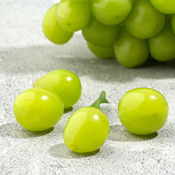 [명절특선] [농협] 한아름드린 샤인머스캣 선물세트 2kg/4kg(2품목)