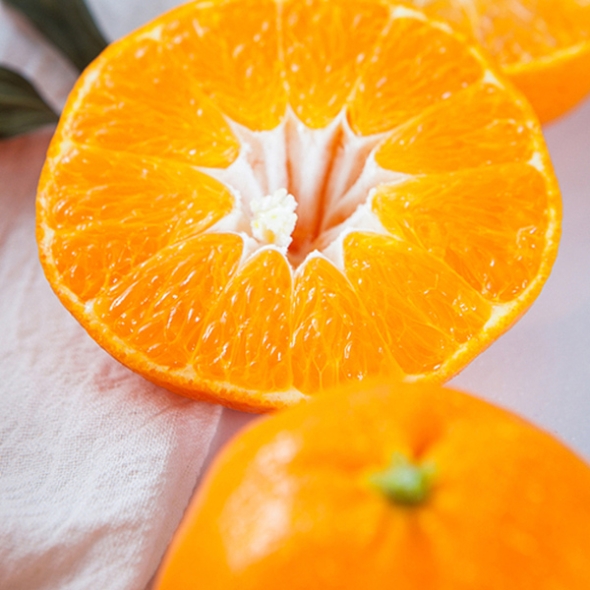 [농장직송] 고당도 천혜향 로얄중과 [1.8kg-4.5kg]