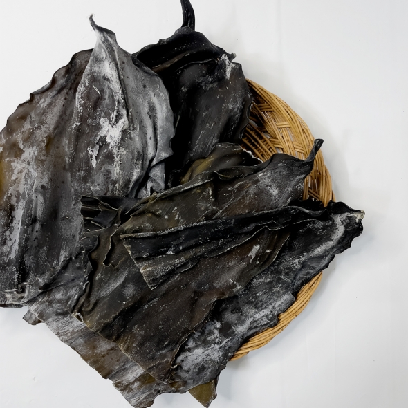 [마산어시장] 두툼한 명품 기장 다시마 400g x1팩/2팩