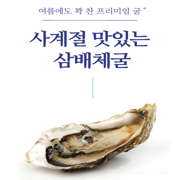 [만원의 행복] 홍지수산 고흥석화 삼배체굴 4-8개 1kg  프리미엄 수출굴
