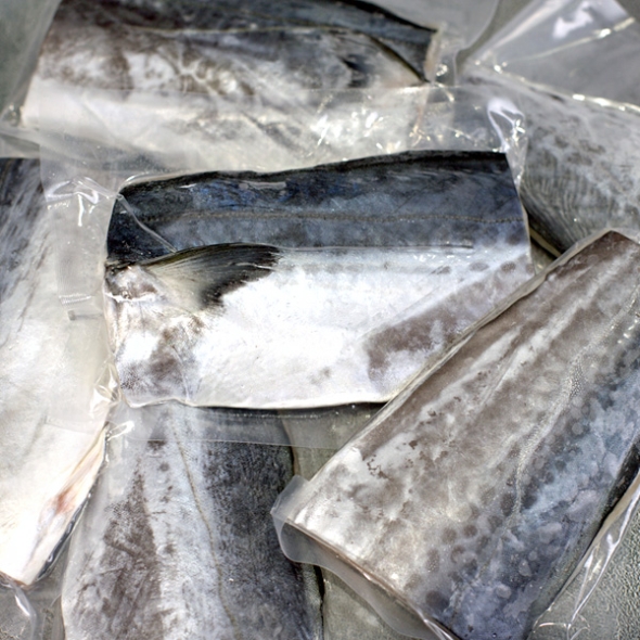 [제주특선] 삼치살 2팩/4팩 (왕특/팩당500g이상/2토막)