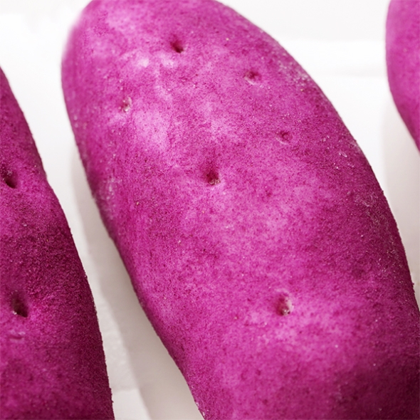 [단짠예찬] 말랑촉촉 고구마빵 600gx2팩/3팩/5팩 (팩당120gx5개입)