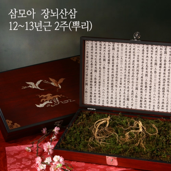 [삼모아] 산양산삼 12-13년근 2/3/5/7뿌리(VIP선물세트)/고가구목함+실크보자기
