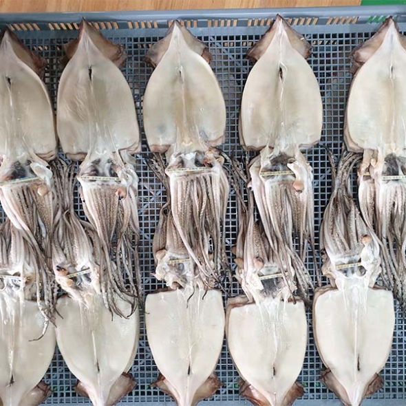 반건조 오징어