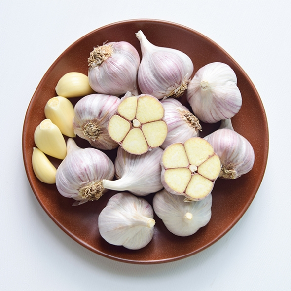 (최켓) 통마늘 2kg