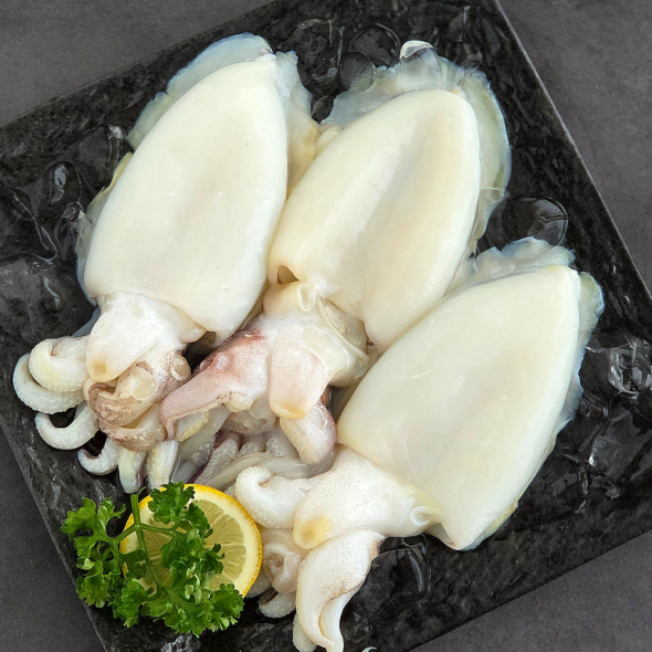 [보름데이] 갑of갑 완벽손질 두툼 신선 갑오징어  내장뼈제거