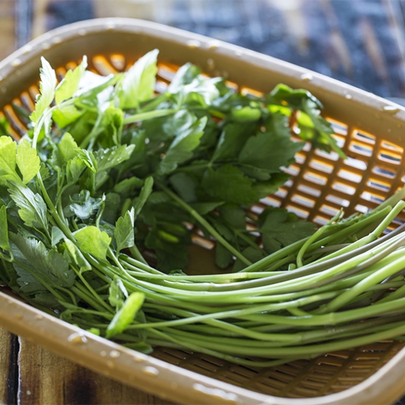 동곡  돌미나리(푸)