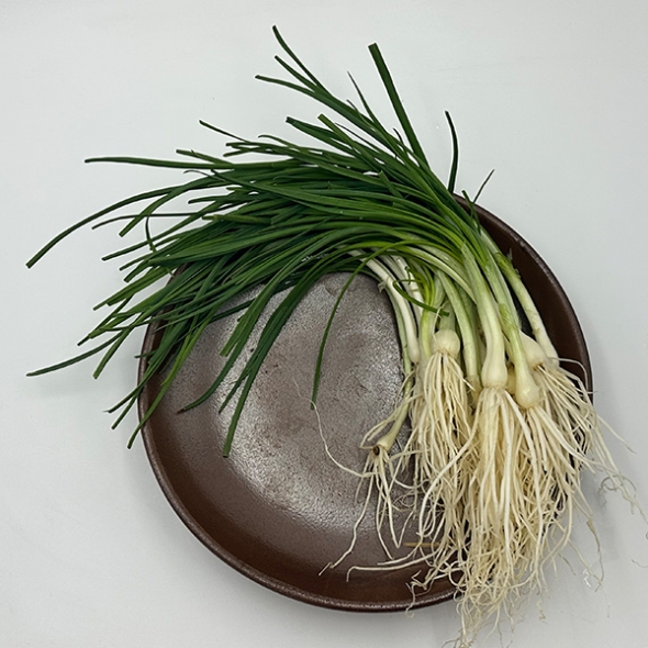 [오커캄스] 향긋 달래 세척 달래 300g 500g 1kg