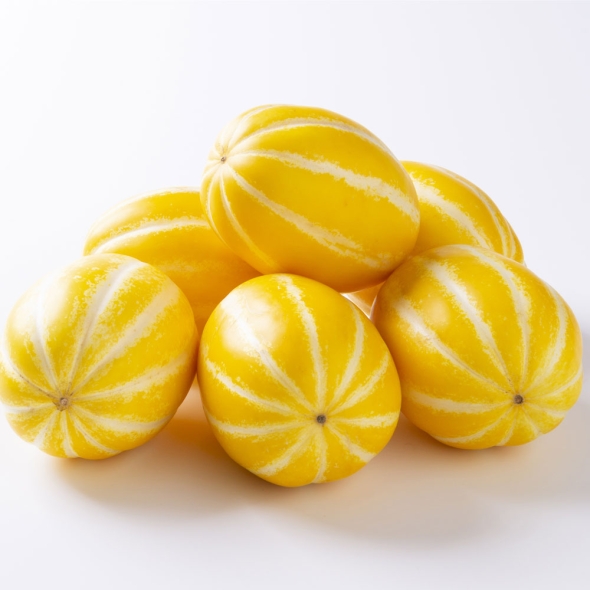 [신한카드 할인] [흙이음] 아삭아삭 달콤한 하우스 참외  가정용 1.5kg 