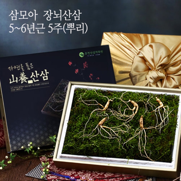 [삼모아] 산양산삼 5-6년근 5/7/10뿌리(보은세트) /우드락+패키지케이스+공단보자기