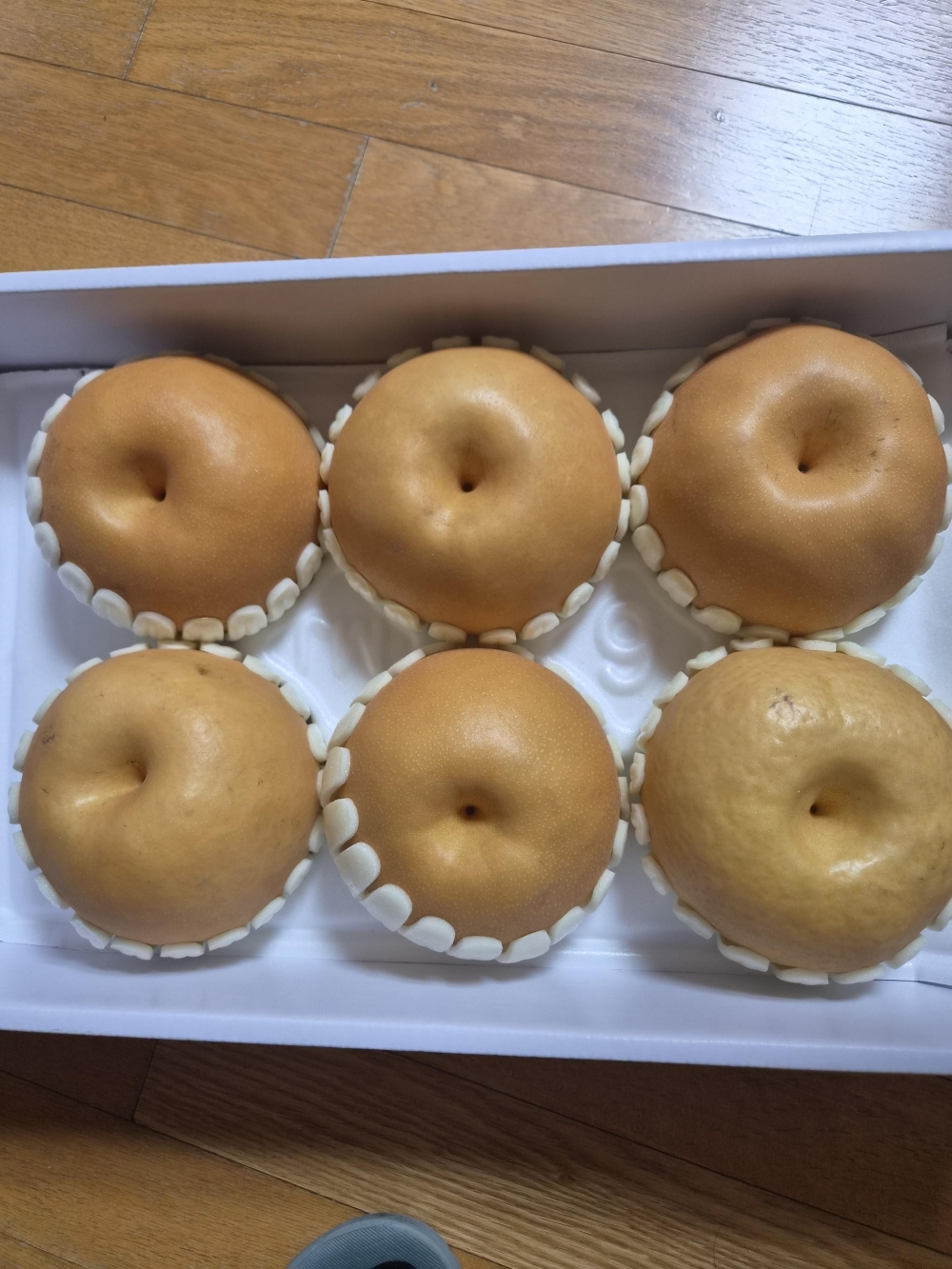 [믿음곳간] 나주배 고급 선물용 5kg (6~9과)