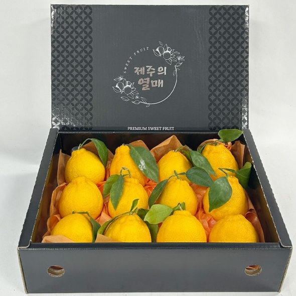 제주 서귀포 가정용 선물용 한라봉 1.5kg 2kg 한라봉선물세트