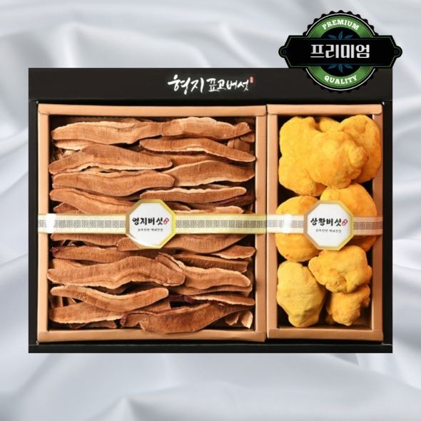 [형지] 영지 상황버섯 명품4호(영지버섯250g+상황버섯100g)