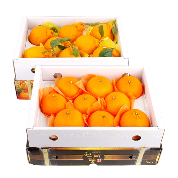 [제주향기] 탐나는 제주만감 2종묶음세트(한라봉3kg7-9과+천혜향3kg10-12과)