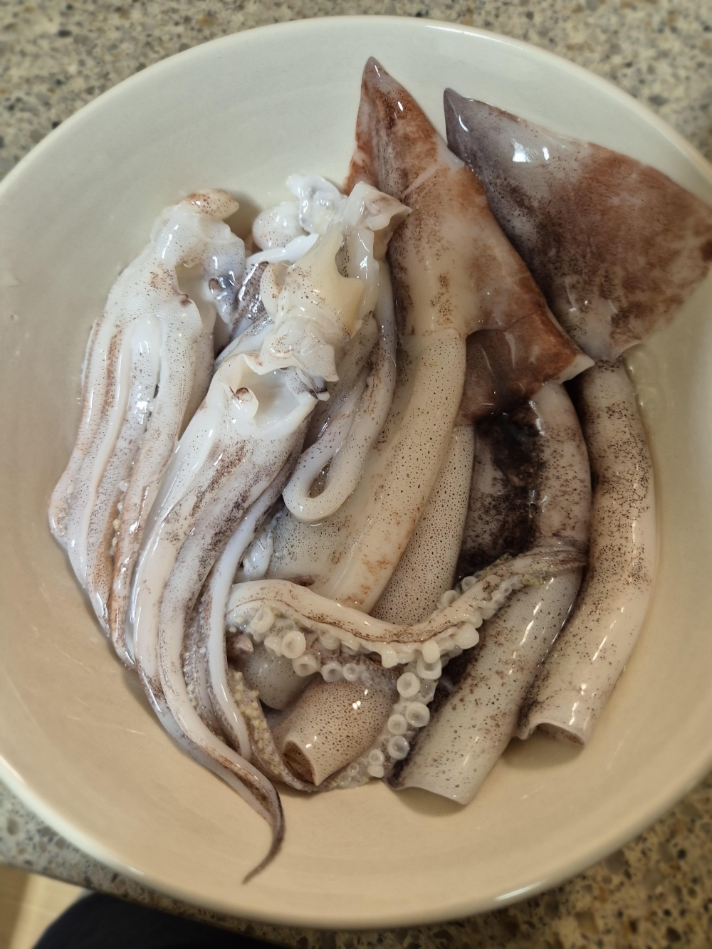 [水] 이순신수산 국내산 신진도 내장가득 통오징어 중 800g 대 1kg 조업당일 급속냉동