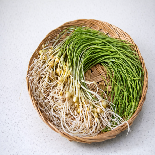 입맛을 돋아주는 알싸한 맛 노지 세척 달래 500g 외 4종