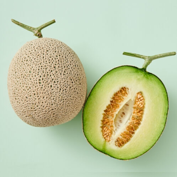 [멜론의 정석] 고당도 머스크 멜론 [4kg-8kg]