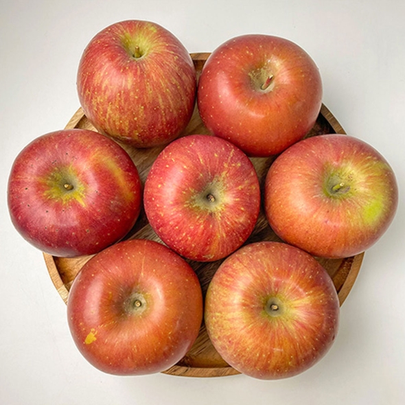 [신한카드 할인][흙이음] 부사사과 특품 중과