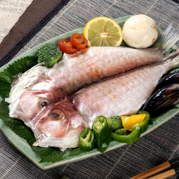 [제주특선] 프리미엄 참옥돔선물세트 1호 (특대/6마리/마리당290g이상)