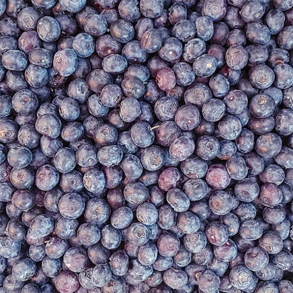 톡터지는 신선함 국내산 블루베리