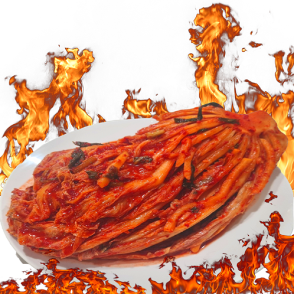 [행사특가] 매일담그는 오늘애 맛잇게 매운 김치 포기김치  2kg/3kg/5kg/10kg