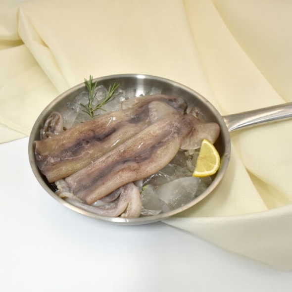 손질 통 오징어 (급냉) 오동통통