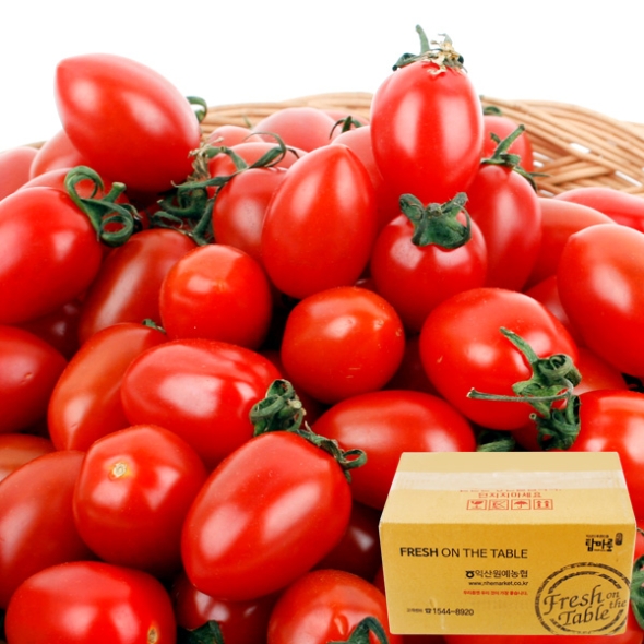  [농협공판장] 정성드린 대추방울토마토 2kg(특1-2번과)