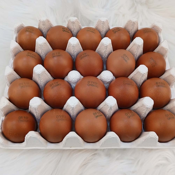 건강한  닭이  낳은  자연방사  난각 1번 유정란 /동물복지 난각  2번 유정란 (20구/40구/60구/80구)