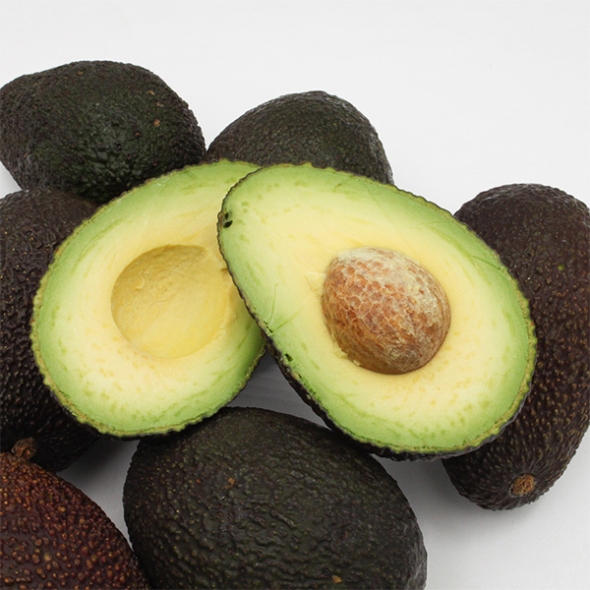 [오커캄스] 천연 버터 아보카도 수입 아보카도